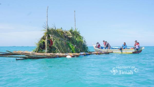Jaga Laut Babel, PT Timah Tenggelamkan 9.600 Terumbu Buatan dan Ratusan Atraktor Cumi