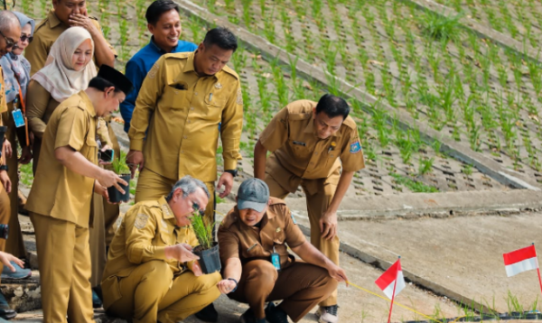 Tak Punya Sawah, Pemkot Tangsel Sulap Tandon Ciater Jadi Lahan Padi Apung