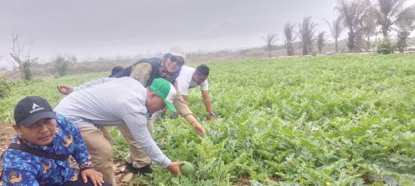 Program Penampungan Hasil Panen Jadi Angin Segar bagi Petani di Desa Talagasari Sindangbarang