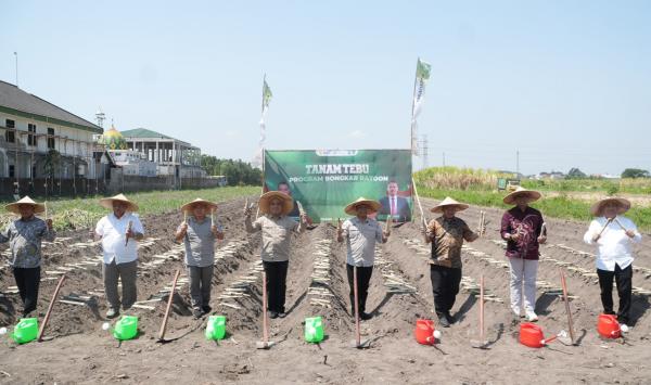 Petani Tebu Butuh Benih Unggul dan Pengairan untuk Dongkrak Produktivitas
