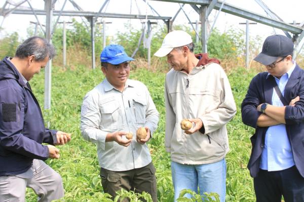 Petani Sembalun Tinggalkan Benih Impor, Pilih Kentang Chitra untuk Tingkatkan Produksi