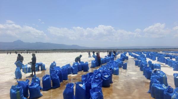 Takut Garam Tak Laku, Petani NTT Bisa Bernapas Lega, Ini Sebabnya