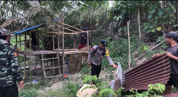 Duduki Lahan HGU PT Mamuang, Puluhan Pondok Warga di Pasangkayu Dibongkar Polisi dan Tokoh Adat