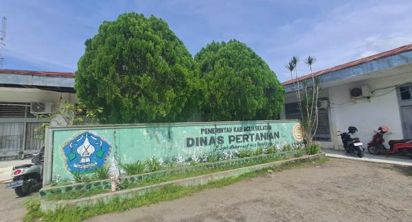 Hingga Oktober 2026, PAD Pertanian Aceh Selatan Baru Rp10 Juta, Target Rp80 Juta