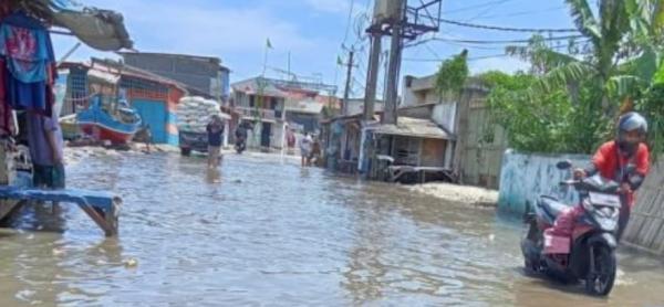 Banjir Rob Mengintai, Warga Pesisir Tangerang Diminta Siaga