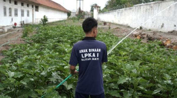 160 Anak Binaan LPKA Blitar Dibekali Hukum dan Keterampilan, Ini Tujuannya