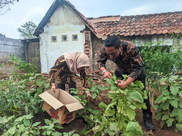 Kepala Rutan Salatiga Turun Langsung Panen 12 Kg Terong dan Cabai