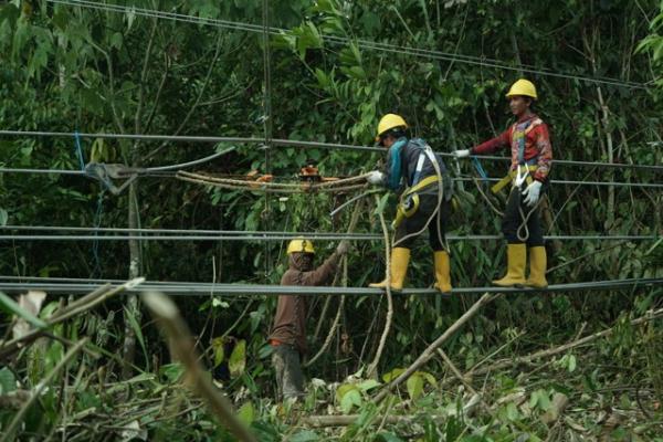 PLN Percepat Pemulihan Listrik Kalimantan, Pembangkit 53 MW dan Tower Darurat Beroperasi di Berau