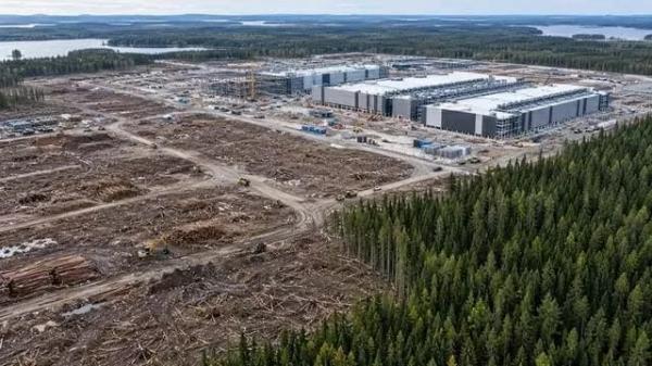 Polisi Finlandia Ngamuk, Google Tebang Ratusan Hektare Pohon di Hutan Muhos untuk Proyek  Pusat Data