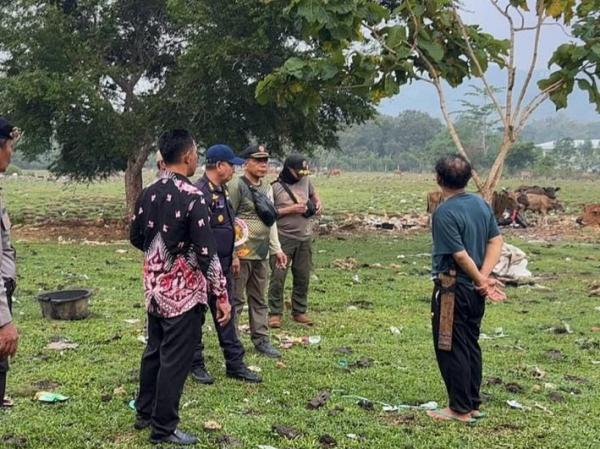 Polisi & Satpol PP Temukan Penampungan 100 Sapi di Mamuju, 6 Pemilik Diberi Deadline 3 Hari