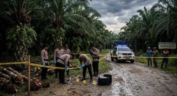 Gelap Mata Usai Nonton Film Dewasa, Pemuda 21 Tahun Sasar Nenek Tua di Kebun Sawit