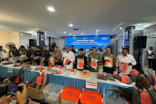 245 Orang dan 20 Korporasi Jadi Tersangka Kasus Karhutla