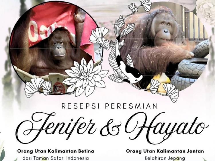 Viral KBRI Tokyo Umumkan...