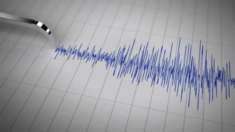 Gempa 5,2 SR Guncang Halmahera Selatan Malut, Tak Berpotensi Tsunami