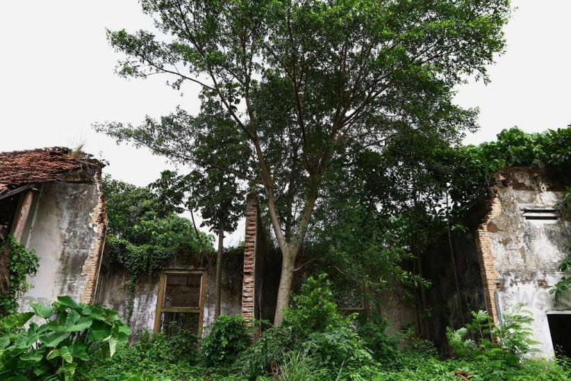 Nasib Bangunan Bersejarah Rumah Cimanggis - Bagian 3