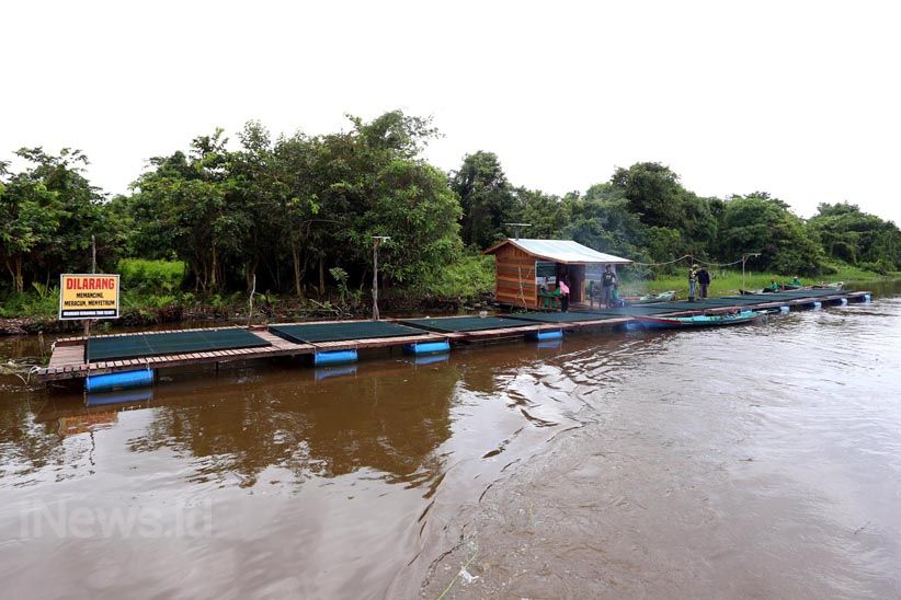 Budidaya Ikan Air Tawar dengan Keramba Jaring Apung - Bagian 7