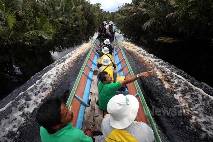 Menjelajahi Suaka Margasatwa Sungai Lamandau di Kalimantan Tengah  - Bagian 1