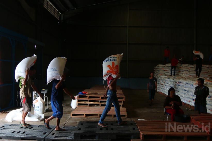 Beras Impor dari Thailand dan Vietnam Banjiri Gudang Bulog - Bagian 8