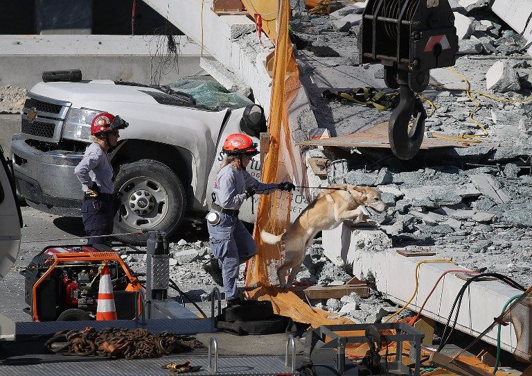 Anjing Pelacak Cari Korban Tertimbun Reruntuhan Jembatan Ambruk di Florida - Bagian 1