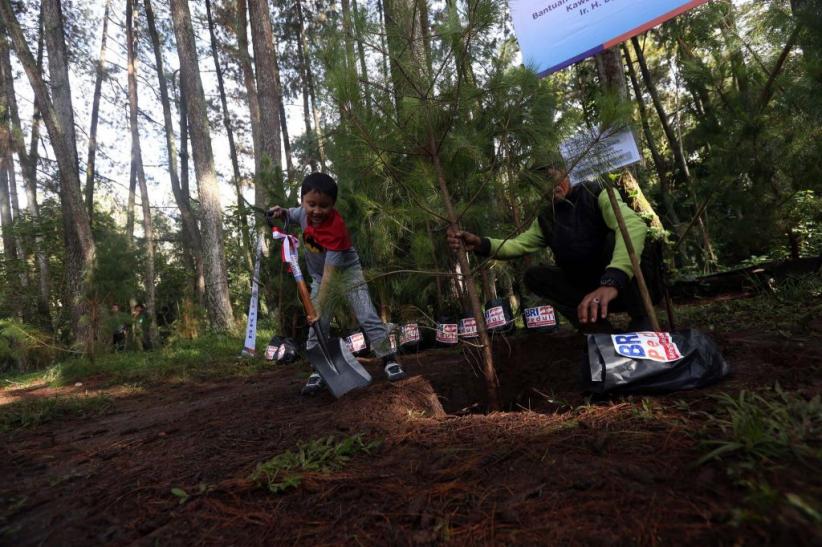 Peduli Lingkungan, Bank BRI Tanam 123 Bibit Pohon Pinus - Bagian 5