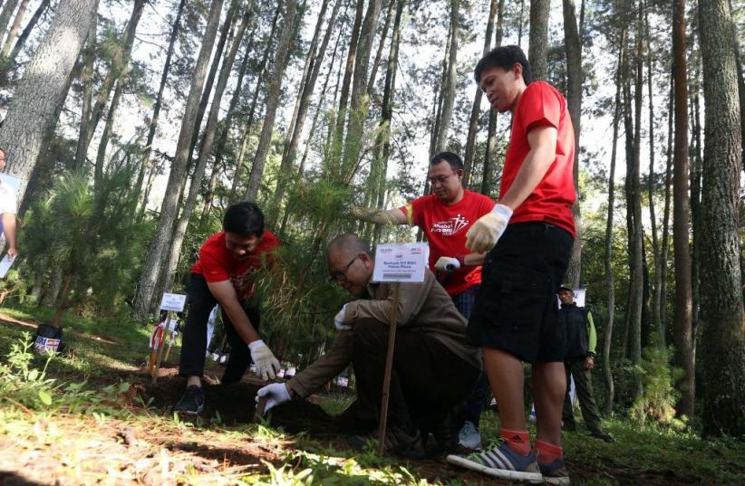 Peduli Lingkungan, Bank BRI Tanam 123 Bibit Pohon Pinus - Bagian 2