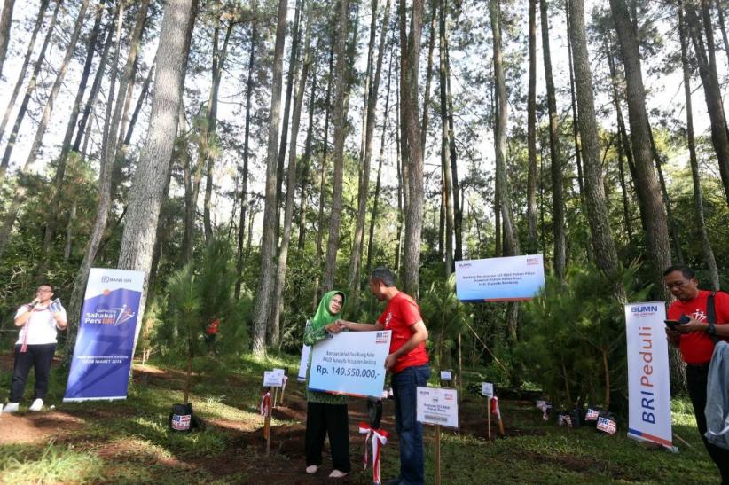 Peduli Lingkungan, Bank BRI Tanam 123 Bibit Pohon Pinus - Bagian 4
