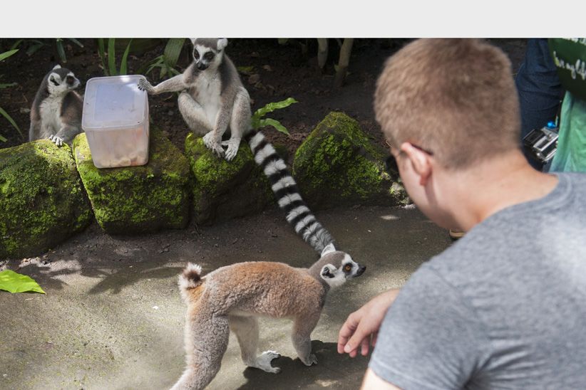Seru, Berlibur dengan Hewan Liar di Bali Zoo - Bagian 2