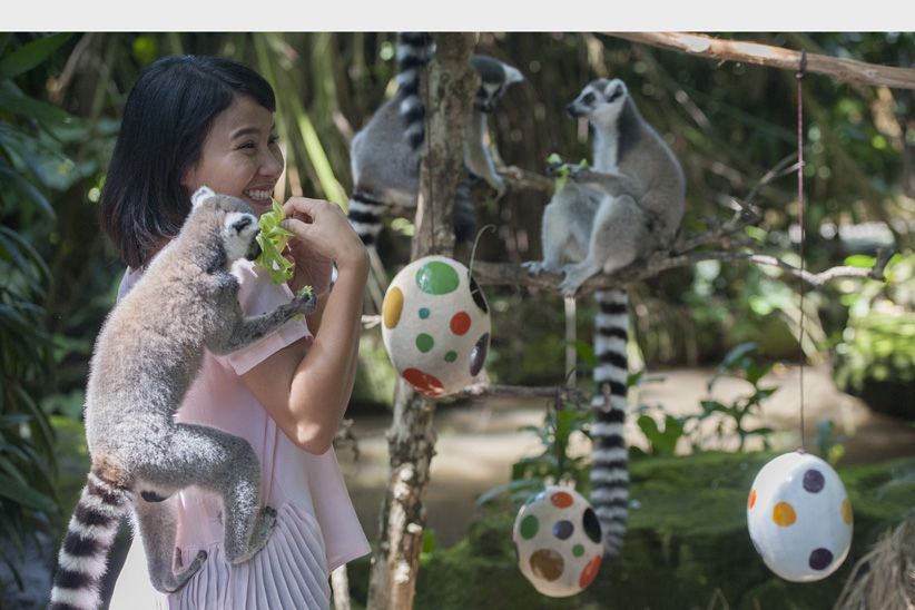 Seru, Berlibur dengan Hewan Liar di Bali Zoo - Bagian 1