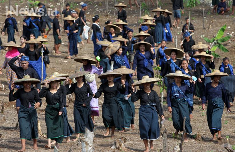 Suku Baduy Gelar Ritual Tahunan Ngasek Pare - Bagian 1