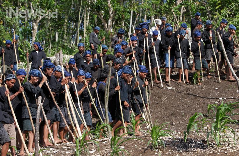 Suku Baduy Gelar Ritual Tahunan Ngasek Pare - Bagian 3