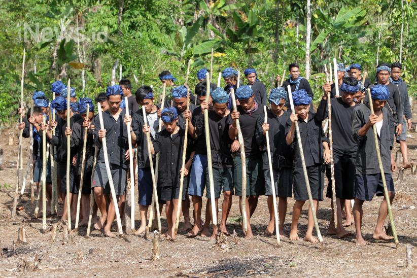 Suku Baduy Gelar Ritual Tahunan Ngasek Pare - Bagian 2
