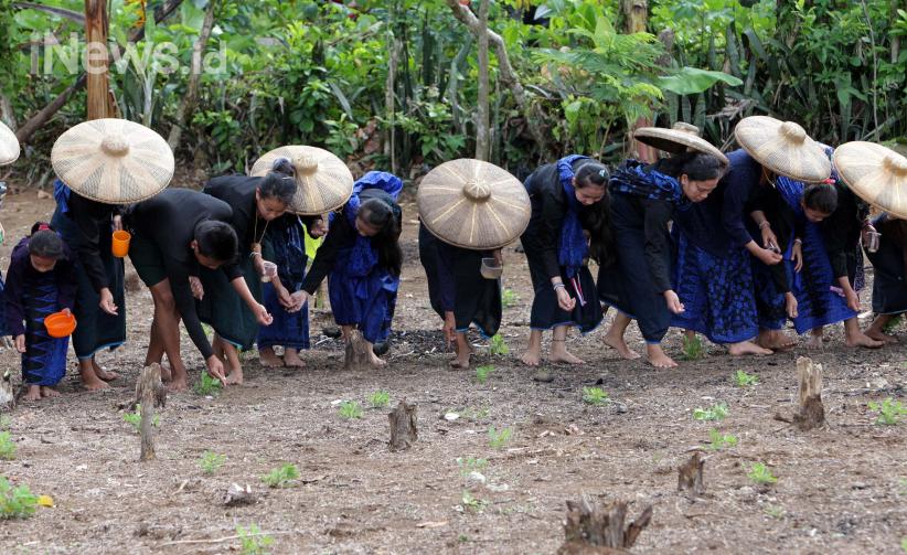 Suku Baduy Gelar Ritual Tahunan Ngasek Pare - Bagian 4