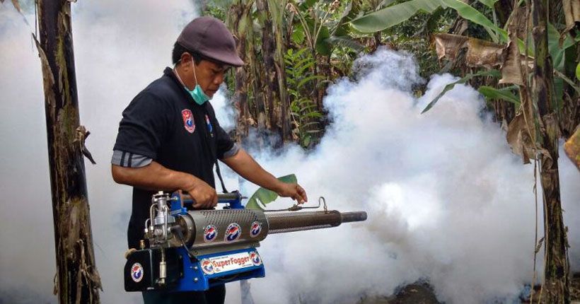 290 Kasus dalam Setahun, Demam Berdarah Renggut 5 Korban di Manado