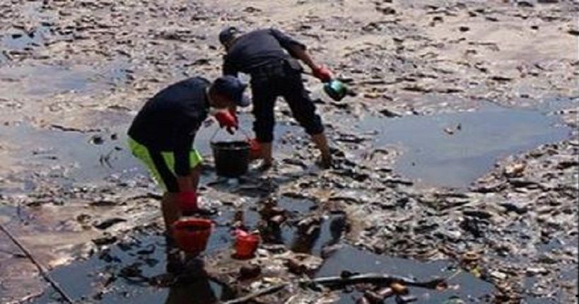 Kasus Tumpahan Minyak di Teluk Balikpapan, Ini Daftar yang Terdampak