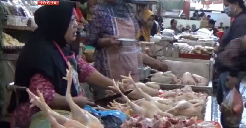 Jelang Idul Adha, Harga Daging Ayam di Ambon Merangkak Naik
