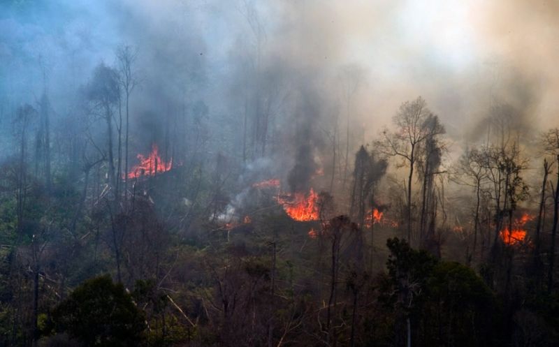 Kebakaran Hutan di Objek Wisata Kawah Putih Ciwidey Mencapai 15 Hektare