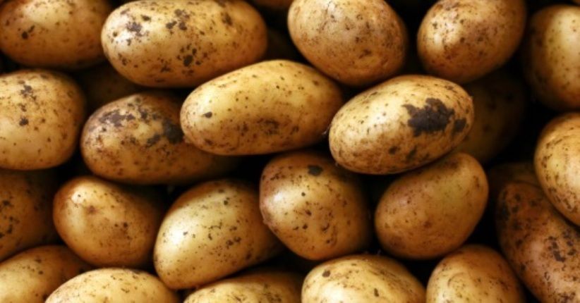 Harga Kentang di Ambon Terpantau Meroket, Sayur Lain Masih Normal
