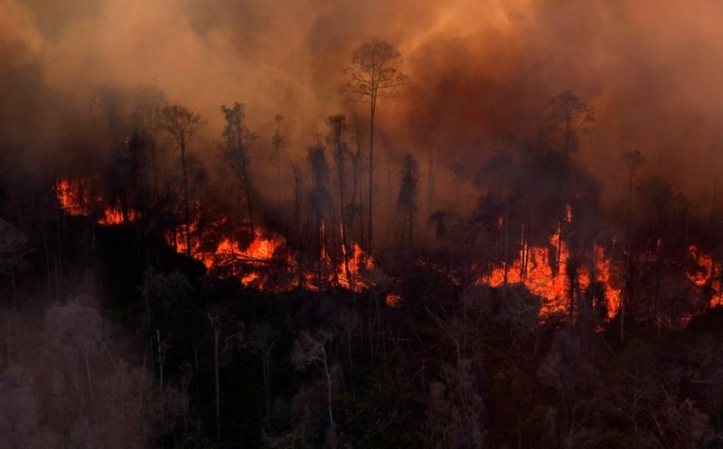 Ratusan Hektare Lahan Perkebunan Sawit di Kolaka Timur Terbakar