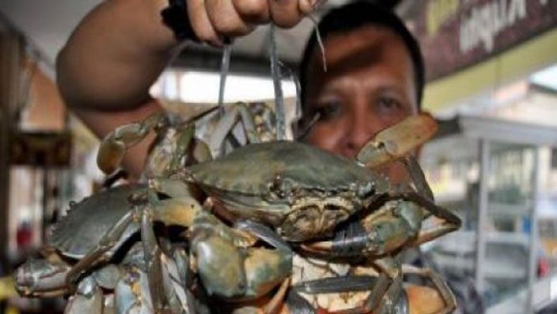 KKP Advokasi Nelayan yang Jadi Tersangka karena Tangkap Kepiting