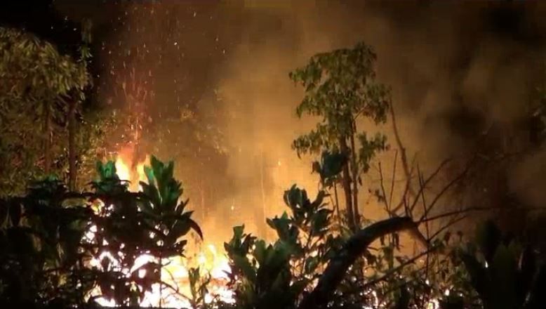 Belasan Hektare Lahan Dekat Bandara Muara Bungo Jambi Terbakar