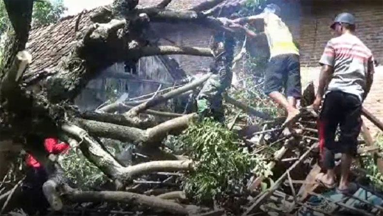3 Desa di Tuban Diterjang Puting Beliung, 3 Rumah Roboh dan 25 Rusak
