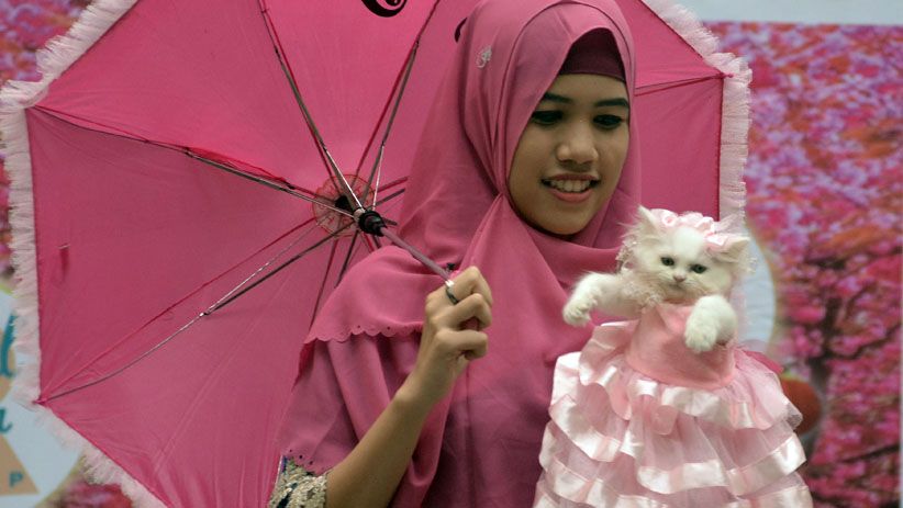 Hari Valentine, Kucing-Kucing Lucu Ini Pakai Kostum Serba Pink - Bagian 1