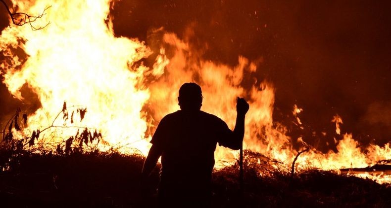 Catat! 5 Wilayah di Sumsel Ini Rawan Karhutla