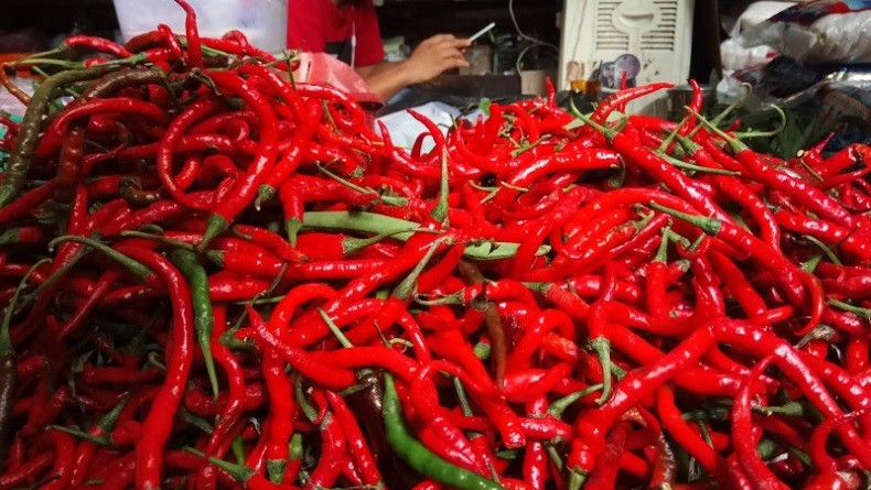 Panen Raya, Harga Cabai di Ambon Justru Naik Mencapai Rp80.000 per Kg