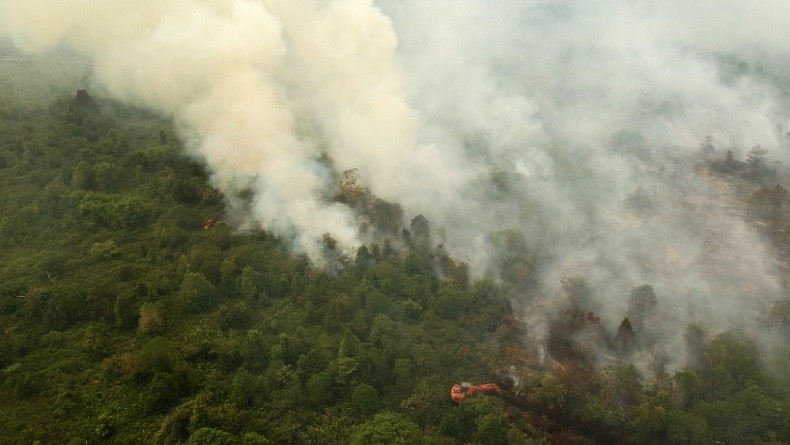 Pegunungan Malabar Bandung Terbakar Sejak Jumat Malam, Belum Diketahui Penyebabnya