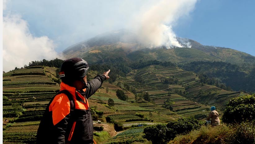 Puluhan Hektare Lahan Hutan Gunung Sumbing Hangus Terbakar - Bagian 2