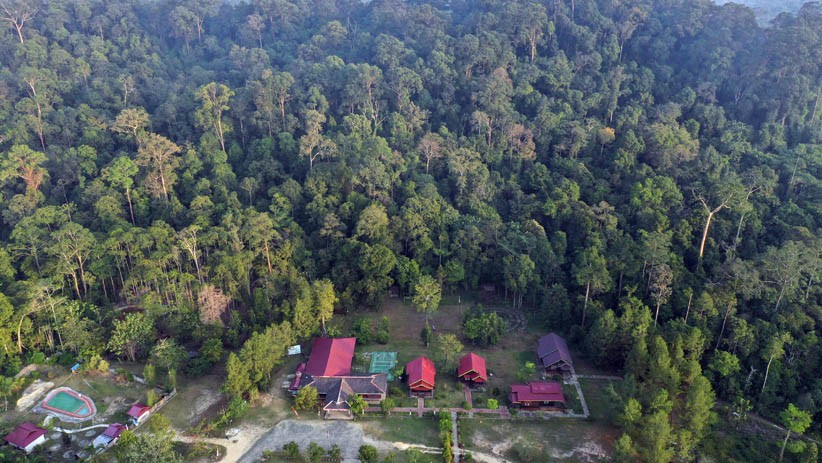 Intip Penginapan Kawasan Wisata Hutan Hujan Tropis Kutai Kartanegara - Bagian 1