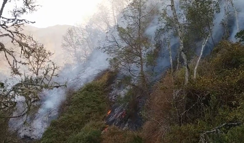 Kabut Asap dan Kebakaran Hutan, Ini 10 Seruan Bumi kepada Manusia
