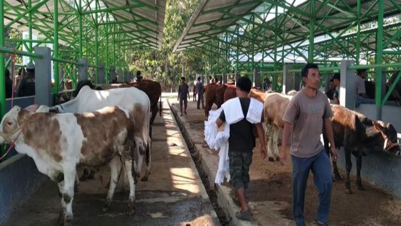 Anggota DPRD Kota Solok Jadi Tersangka Kasus Pencurian Ternak