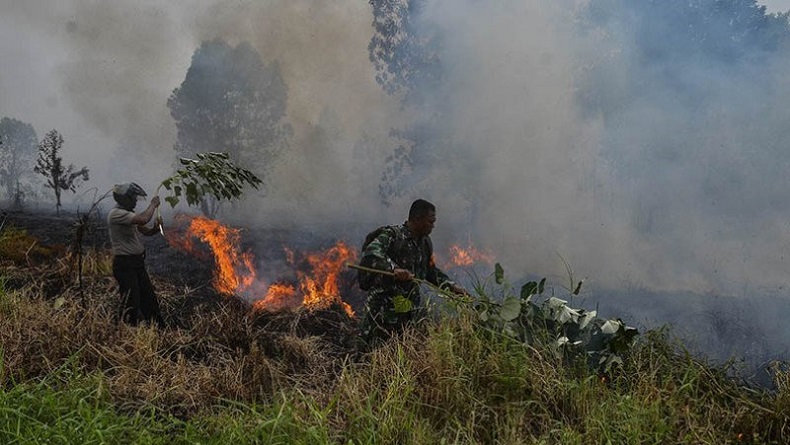 Puluhan Titik Panas Terdeteksi di Riau, Potensi Karhutla Masih Tinggi